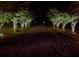 Nighttime shot of a tree-lined driveway with landscape lighting at 4846 Causey Pond Rd, Awendaw, SC 29429