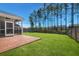 Lush backyard with a wood deck and screened-in porch, complemented by a backdrop of tall pine trees at 686 Redbud Ln, Summerville, SC 29486