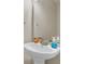 Small bathroom featuring a pedestal sink with framed mirror and soap dispenser at 9360 S Moreto Cir, Summerville, SC 29485