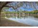 Scenic view of a tranquil pond reflecting the blue sky and surrounding houses and trees, framed by an overhanging branch at 9684 Pebble Creek Blvd, Summerville, SC 29485