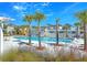 A stunning pool area surrounded by lush landscaping and palm trees at 106 Wood Sage Run, Summerville, SC 29485