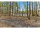 The home's backyard featuring mature trees and a mostly cleared area beyond at 158 Dean Dr, Summerville, SC 29483