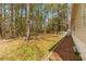 A large, mostly cleared backyard with a wood line at the rear of the property at 158 Dean Dr, Summerville, SC 29483