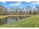 Scenic view of the neighborhood pond with lush greenery, perfect for a tranquil escape at 189 Weeping Cypress Dr, Moncks Corner, SC 29461