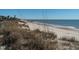 Scenic beach view with golden sand, rolling waves, and sea grasses in the foreground at 1908 Palmetto Boulevard Blvd, Edisto Island, SC 29438
