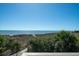 Breathtaking beach view framed by lush vegetation and a wooden walkway to the shore at 1908 Palmetto Boulevard Blvd, Edisto Island, SC 29438