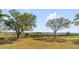 Scenic waterfront view showcasing lush green and golden grasses underneath a blue sky with large trees at 2410 Kemway Rd, Johns Island, SC 29455