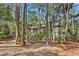 A view of the rear exterior of the home showing mature trees and landscaping at 3180 Pine Needle Ln, Seabrook Island, SC 29455