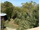 Beautiful areal view of the property's backyard, trees, and marsh in the distance at 4113 Buccaneer Rd, Isle of Palms, SC 29451