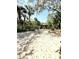 Scenic front yard with a sandy driveway leading to a charming home surrounded by lush tropical trees at 4113 Buccaneer Rd, Isle of Palms, SC 29451