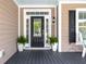 Elegant front entrance boasting a glass-paneled door and decorative potted plants at 545 Two Mile Run, Johns Island, SC 29455