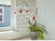 Close-up of marble-like backsplash with white orchid in front of window at 928 Ashley Ave, Charleston, SC 29403