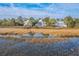 Waterfront homes are nestled along a tranquil waterway, set against the backdrop of marshland and blue skies at 1115 Barfield St, Charleston, SC 29492