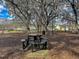 Shady community playground with picnic table, benches, and swings for outdoor fun at 1158 Peninsula Cove Dr, Charleston, SC 29492