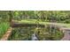 Picturesque pond with a frog statue and lush green surroundings, creating a peaceful retreat at 1300 S Main St, Summerville, SC 29483