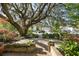 Brick pathway leading to lush landscaping featuring a magnificent tree and flowering plants at 2187 Annie Laura Ln, Mount Pleasant, SC 29466