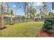 Wide backyard features a modern fence surrounding the property, as well as fresh grass and palm trees at 2830 Backman St, Mount Pleasant, SC 29466