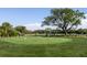 Golf putting green surrounded by short grass featuring a large tree and multiple golfers at 3110 Up Da Creek Ct, Seabrook Island, SC 29455