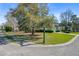 Neighborhood street view showcasing the property with mature trees, sidewalk, and a well-kept lawn at 3447 Toomer Kiln Cir, Mount Pleasant, SC 29466