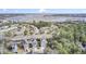 A picturesque aerial view captures a charming neighborhood with colorful homes, lush greenery, and a scenic waterfront backdrop at 490 Sanders Farm Ln, Charleston, SC 29492