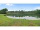 Scenic view of a serene pond surrounded by lush greenery, enhancing the property's tranquility at 5254 Mulholland Dr, Summerville, SC 29485