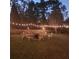 Backyard with fire pit with string lights and chairs ready for entertaining under the night sky at 9411 Harroway Rd, Summerville, SC 29485