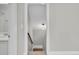 Hallway with neutral walls and carpets going down to the first floor at 102 Brutus Ln, Summerville, SC 29485
