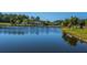 Scenic view of the community pond surrounded by trees and lawn at 104 Cranston Ln, Summerville, SC 29483
