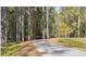 Winding driveway through lush green woods at 1151 Darling St, Summerville, SC 29485