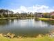 Expansive view of a large pond surrounded by lush trees and a beautiful sky at 138 Sandshell Dr, Charleston, SC 29492