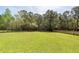 Expansive backyard with lush green grass and mature trees at 1433 Oakhurst Dr, Mount Pleasant, SC 29466