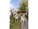 Charming backyard featuring playful dogs with ball and ample green space at 1586 Innkeeper Ln, Johns Island, SC 29455