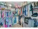 Spacious walk-in closet with custom shelving and organization, perfect for storing clothes and accessories at 271 Palmetto Walk Dr, Summerville, SC 29486