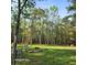 Spacious backyard with mature trees, fenced area, and inviting outdoor space at 2729 Barracada Rd, Walterboro, SC 29488
