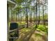 View of backyard and mature trees from deck at 2729 Barracada Rd, Walterboro, SC 29488