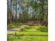 Long driveway leading into the backyard at 2729 Barracada Rd, Walterboro, SC 29488
