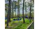 Fire pit area with Adirondack chairs in wooded backyard at 2729 Barracada Rd, Walterboro, SC 29488