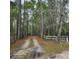 Long driveway framed by towering trees and wooden fences leading to the 'Red Gate' property at 2729 Barracada Rd, Walterboro, SC 29488