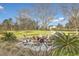 Outdoor firepit surrounded by Adirondack chairs, creating a cozy gathering space with a lush green lawn at 406 Summers Dr, Summerville, SC 29485