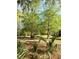 Spacious backyard featuring mature trees, comfortable seating, and lush greenery at 5411 Nesting Pl, North Charleston, SC 29420