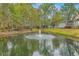 Pond with fountain feature surrounded by lush trees and landscaping at 5411 Nesting Pl, North Charleston, SC 29420
