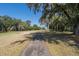 Lush, green landscape with tall trees and a paved walkway leading to a tranquil, picturesque property at 864 Club Cottage Rd, Edisto Beach, SC 29438
