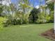 Lush green backyard featuring a grassy lawn surrounded by mature trees and landscaping at 1133 Mount Batten Dr, Hanahan, SC 29410