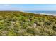 Beautiful aerial shot of a coastal home nestled in a vibrant green landscape near the ocean at 1330 Sea Elder Dr # C, Kiawah Island, SC 29455