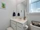 Modern bathroom with a large mirror, elegant fixtures, and stylish decor with pineapple themes for a fresh look at 183 Country Gate Lane Ln, Summerville, SC 29485