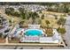 Aerial view of a neighborhood pool area with palm trees, pergolas, lounge chairs, and a large swimming pool with clear blue water at 183 Country Gate Lane Ln, Summerville, SC 29485