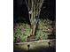 Backyard featuring a tree adorned with birdhouses illuminated by spotlights at 201 Island Green Rd, Goose Creek, SC 29445