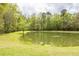 Lush green backyard featuring a large pond, enveloped by trees, providing a serene and private setting at 201 Island Green Rd, Goose Creek, SC 29445