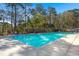 Community pool with clear blue water surrounded by trees and a fence for privacy and safety at 206 Alpine Rd, Summerville, SC 29485