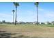 Scenic view of a golf course community, with palm trees dotting the landscape at 3075 Maritime Forest Dr, Johns Island, SC 29455